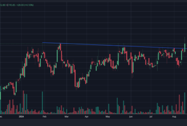 rustomjee share price
