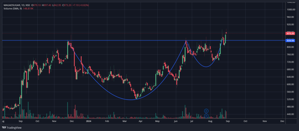Magadh sugar share price